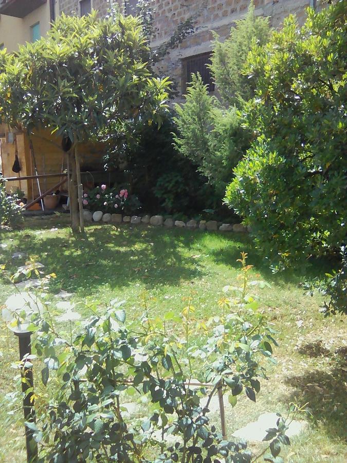 La Graziosa Dependance Apartment Orvieto Bagian luar foto